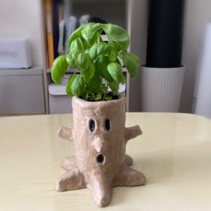 苗を植えたウィスピーウッズの植木鉢
